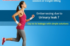 71381799_2534366003344635_9137750270376148992_o_2534365996677969