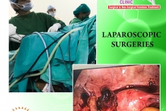 81514880_2761383417309558_2167186393858572288_o_2761383410642892